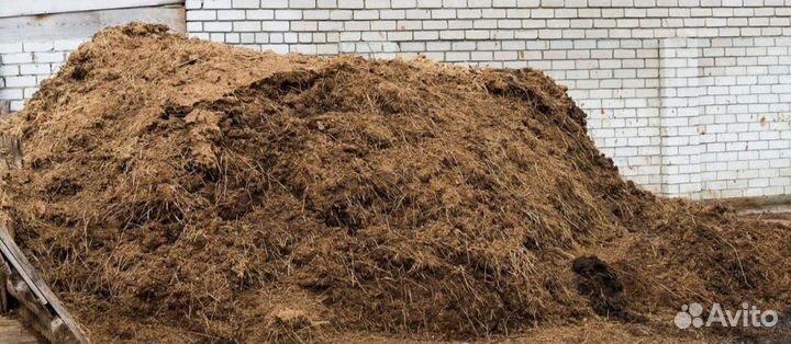 Конский навоз