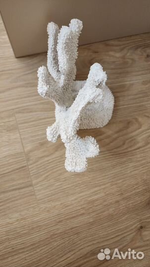 Подставка под книги,кораллы