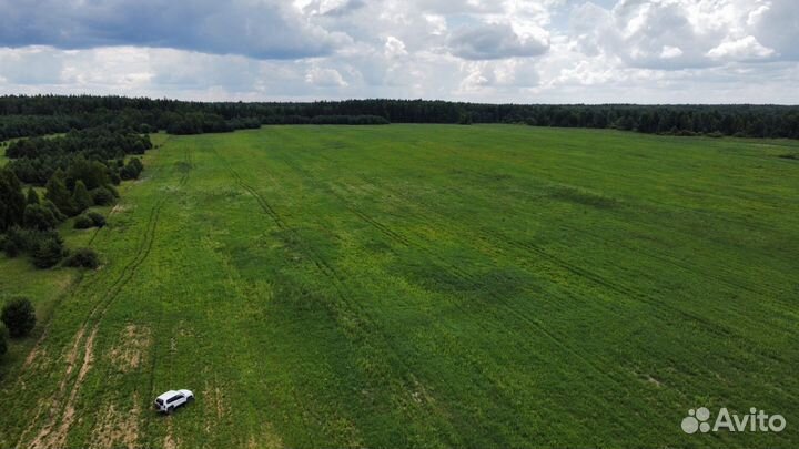 Пао Гусь Агро