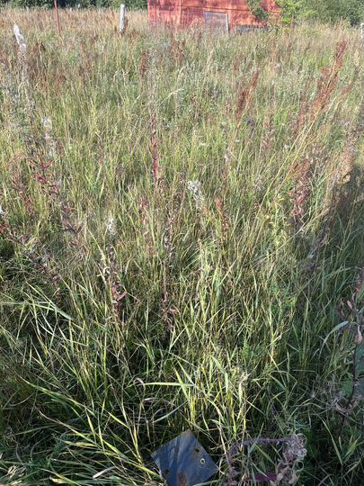 Участок 13 сот. (ИЖС)