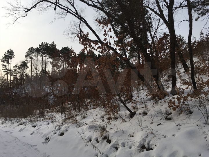 Участок 100 сот. (ИЖС)