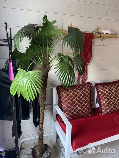 Искусственная пальма бу