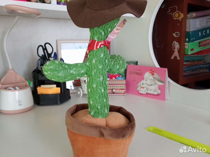 Буги - вуги кактус