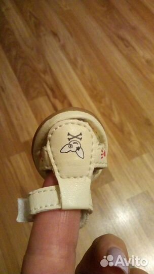 Ботиночки для чихуашки