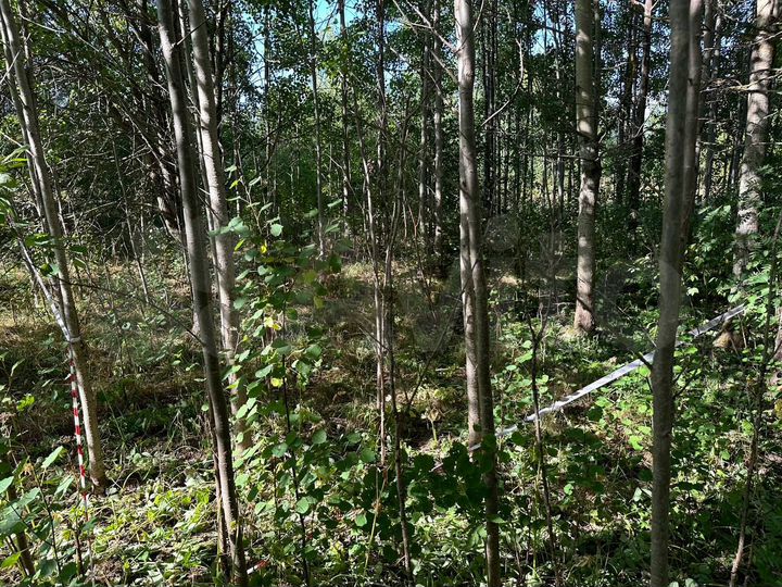 Участок 12 сот. (ИЖС)