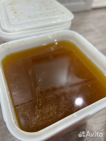 Алтайский мед оптом 2025