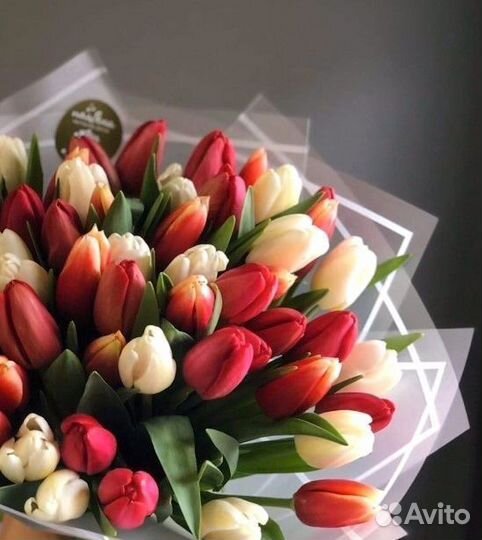 Цветы тюльпаны