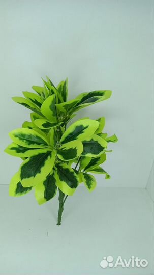 Кустик шеффлеры искусственный