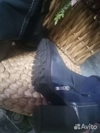 Сапоги натуральная кожа замша
