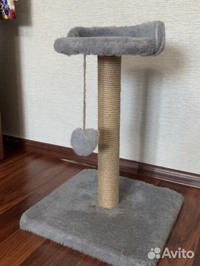 Когтеточка