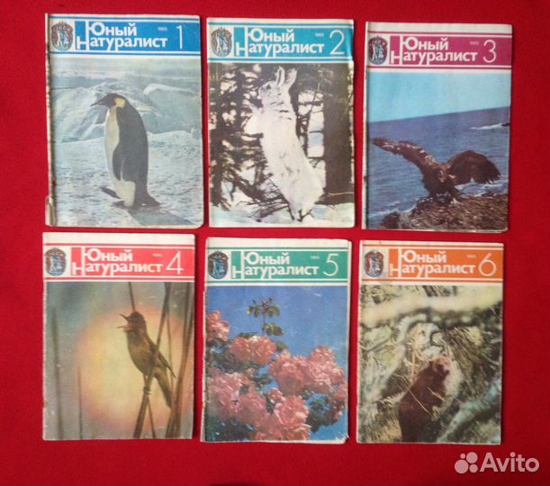 Журнал юный Натуралист