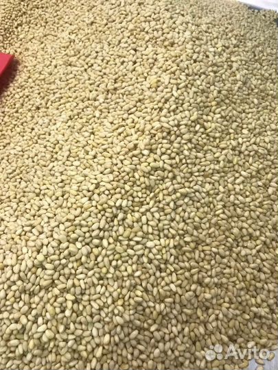 Ядро кедрового ореха