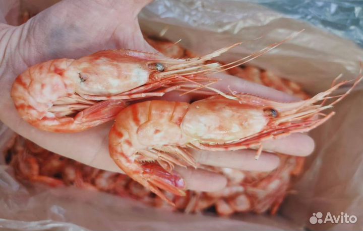 Икра, краб, креветка, рыба, морепродукты оптом