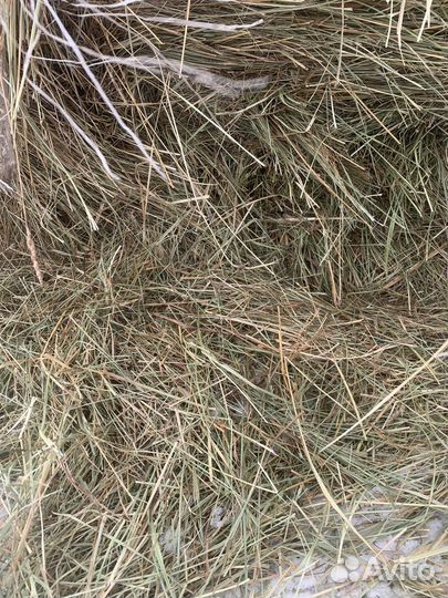 Сено в в мешках