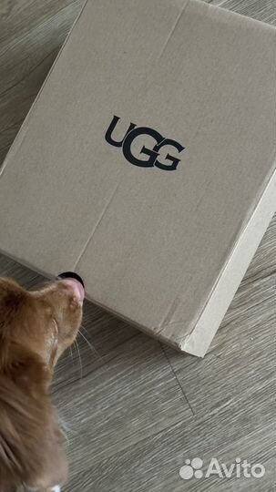 Угги женские ugg оригинал