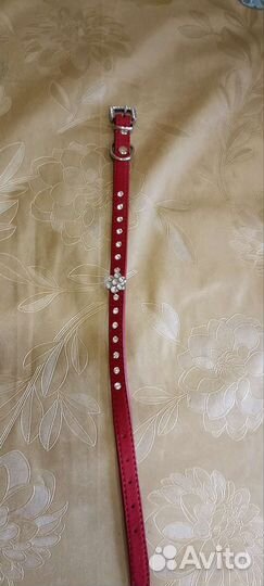 Ошейник для кошек и собак мелких пород