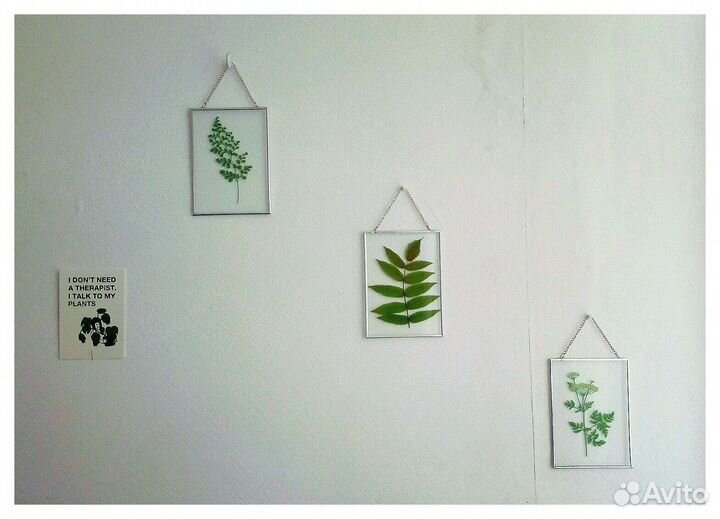 Декор на стену - растения