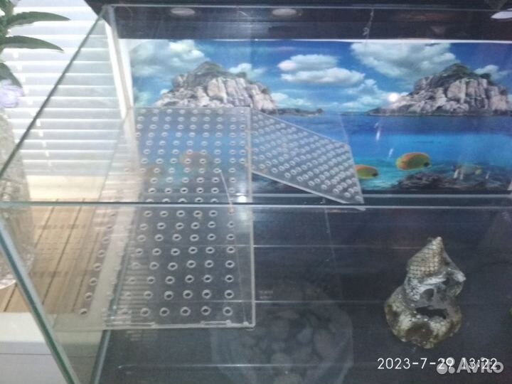 100л акватеррариум аквариум черепашник