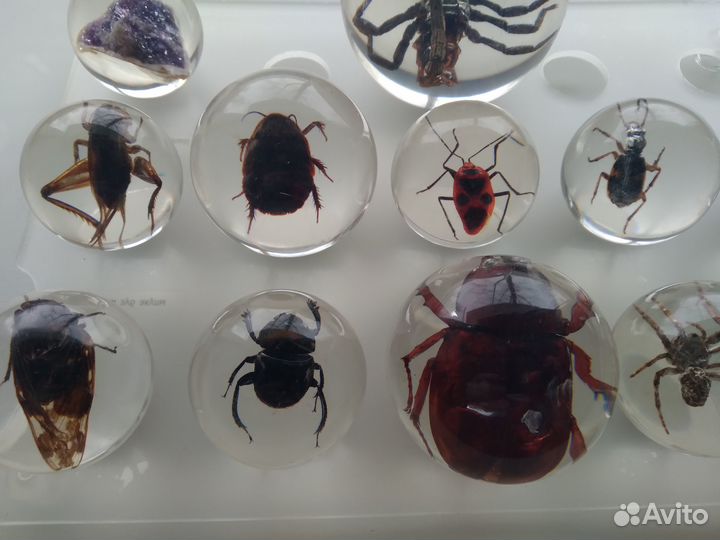 Чудеса природы коллекция шаров в акриле