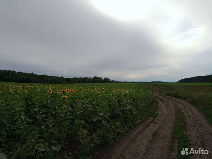 Вскопаю огород