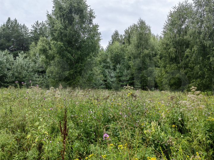 Участок 15,6 га (ИЖС)