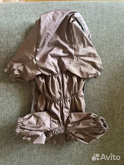 Одежда для собак