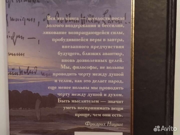 Ницше:Весёлая наука-злая мудрость