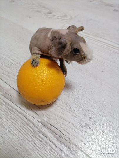 Мальчик Скинни