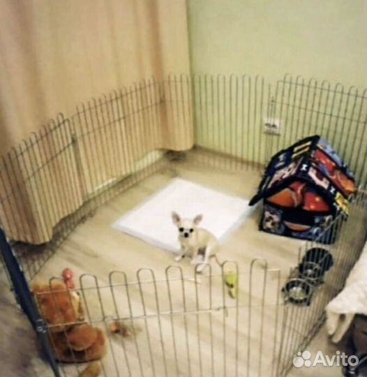 Вольер Оцинкованный