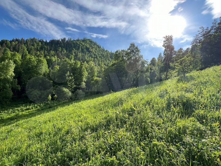 Участок 10 сот. (СНТ, ДНП)