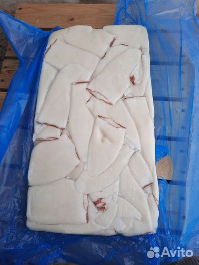 Камбала, Кальмар, Навага,Минтай