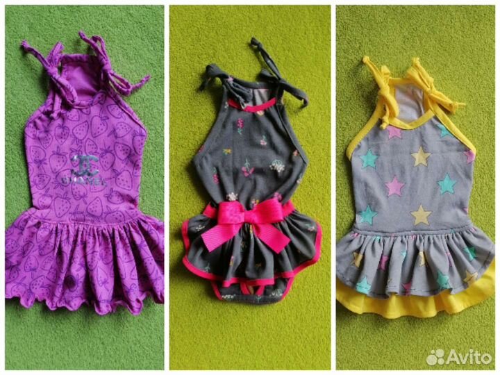 Одежда для собак