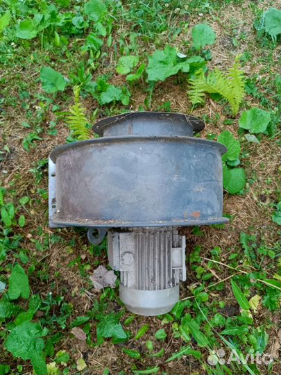 Вентилятор вытяжной улитка