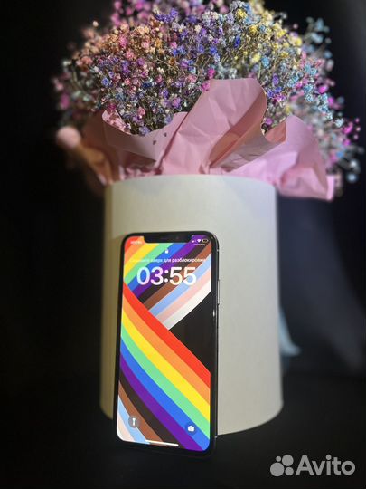 iPhone X, 256 ГБ