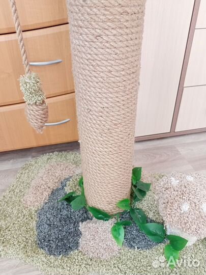 Когтеточка