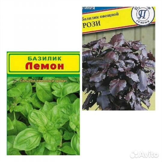 Пряные травы