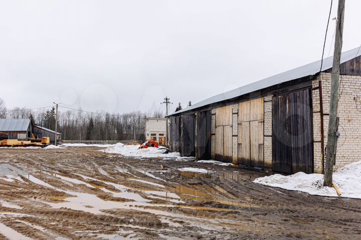 Производственный комплекс (деревообработка)