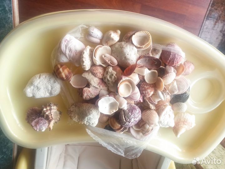 Ракушки пакетом для аквариума и творчества