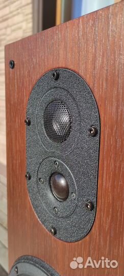 Taoc LC-800 Напольные ас