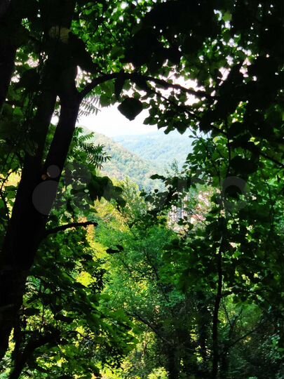 Участок 3,7 сот. (ИЖС)