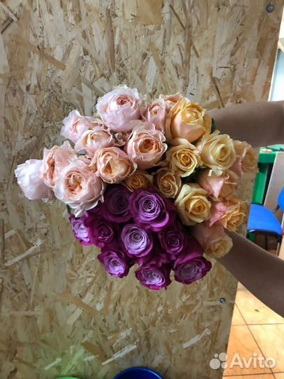 Розы в любых количествах упакуем