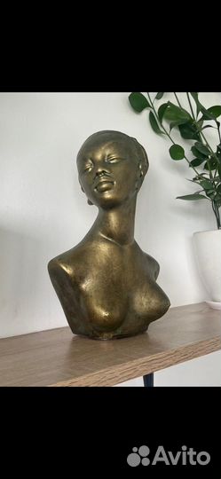 Бюст девушки