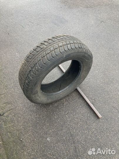 Barum Norpolaris 195/65 R15