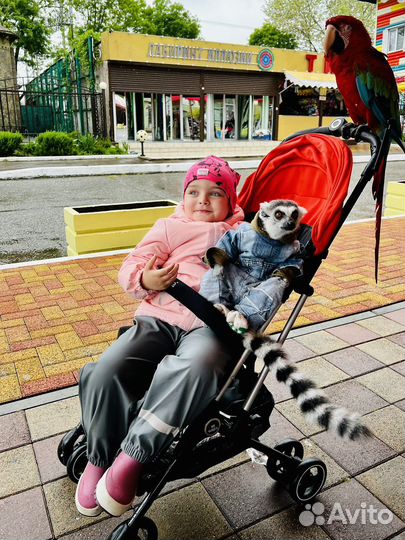 Коляска прогулочная babiton mini