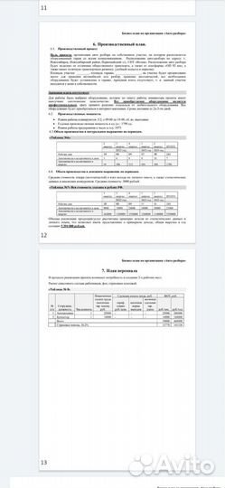 Бизнес-план для соцконтракта