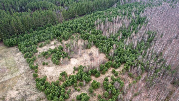 Участок 11,8 га (СНТ, ДНП)