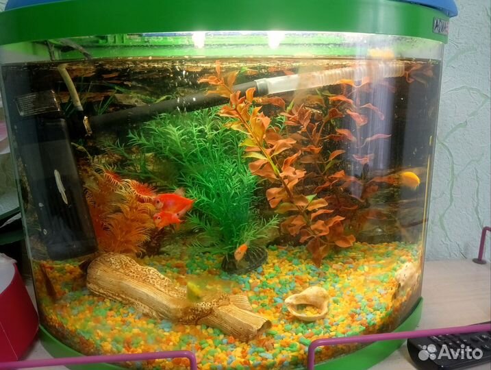 Аквариум