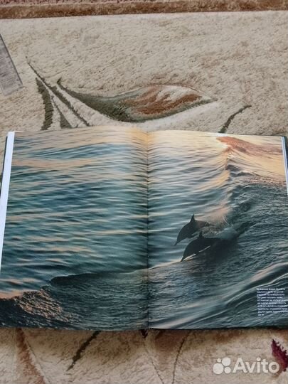 Книга о природе