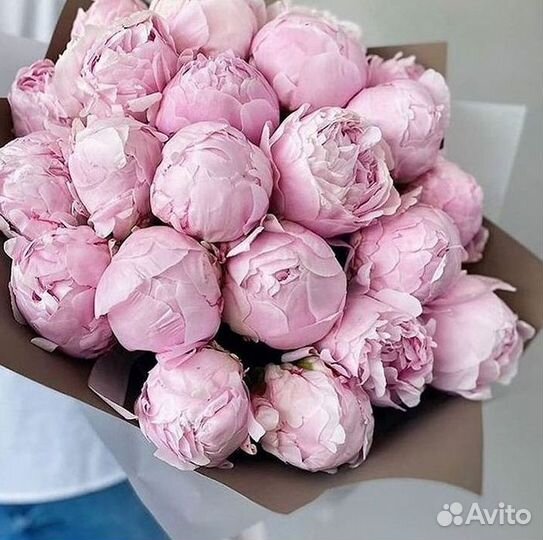 Пионы Букет пионов