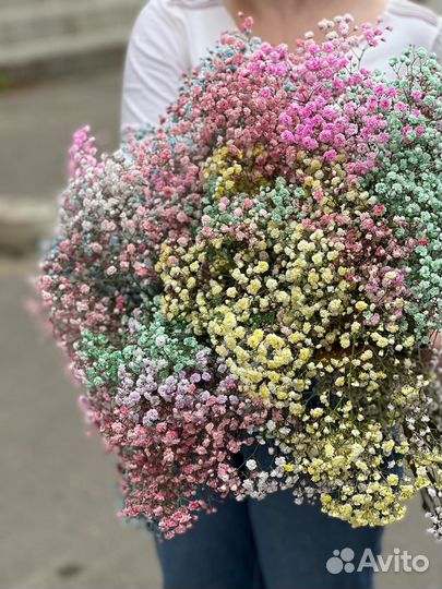 Букеты цветной гипсофилы